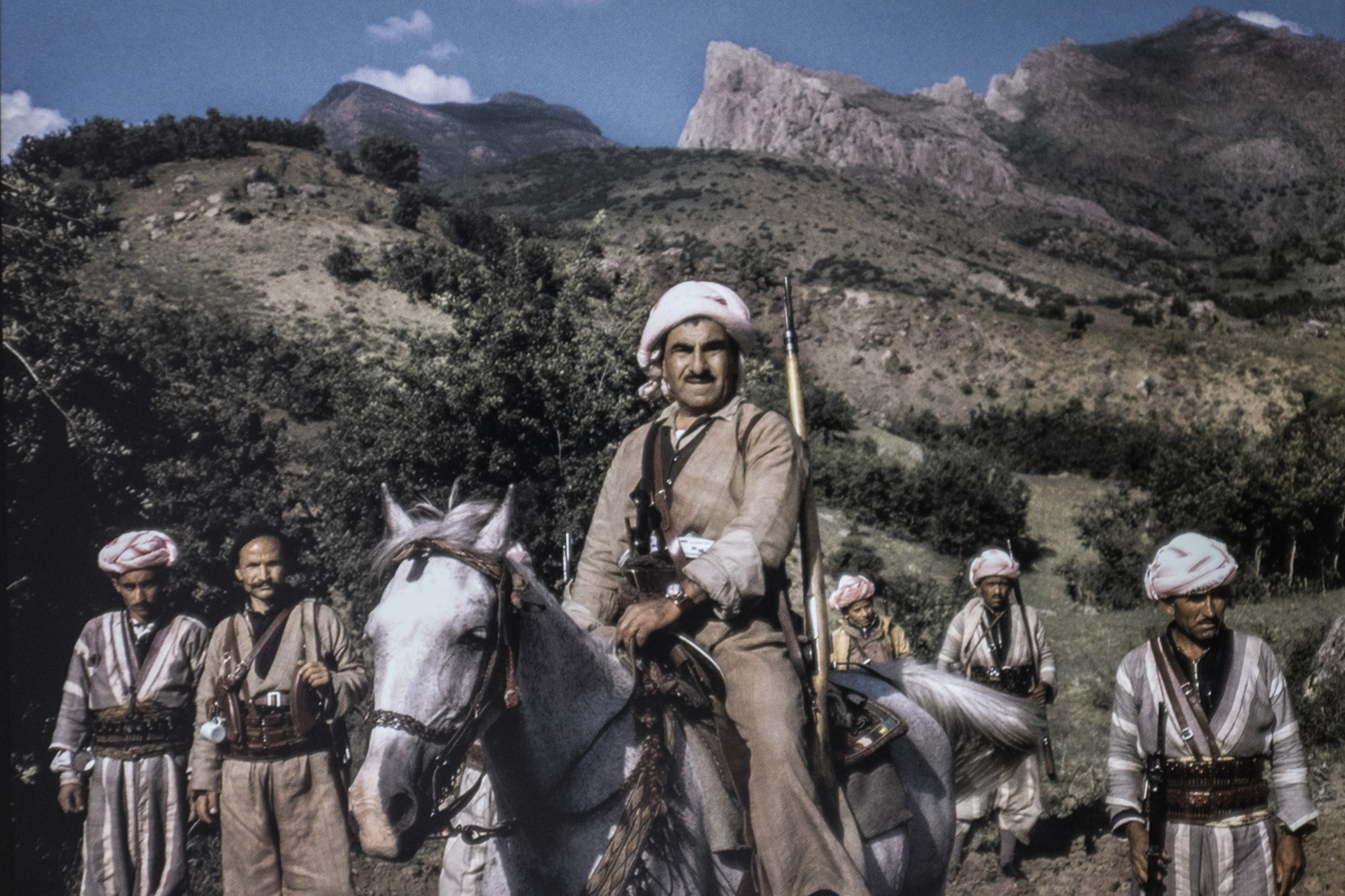 The Horses of Kurdistan recounts history through animals